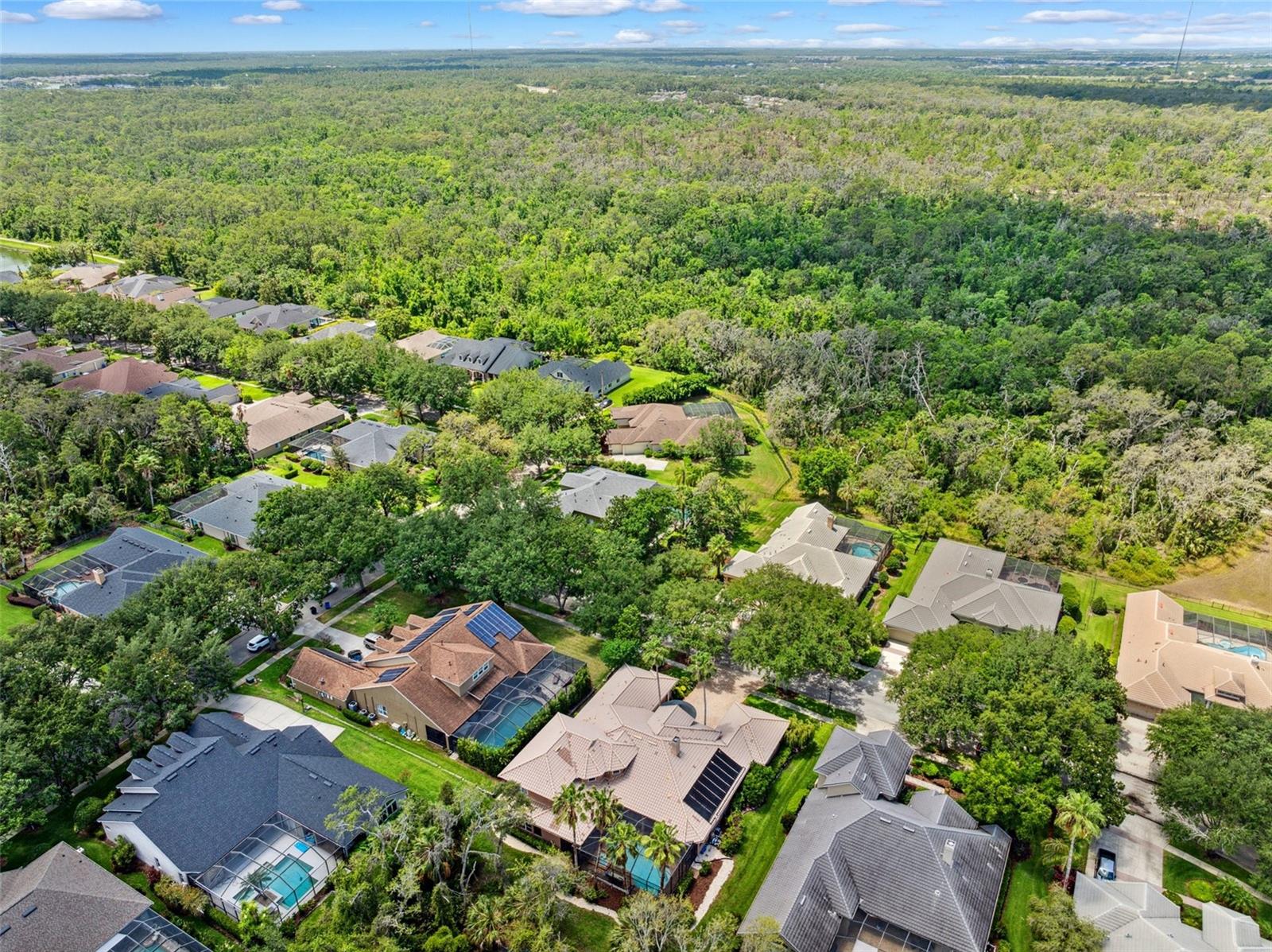 Image 66 of 67 For 15110 Kestrelglen Way