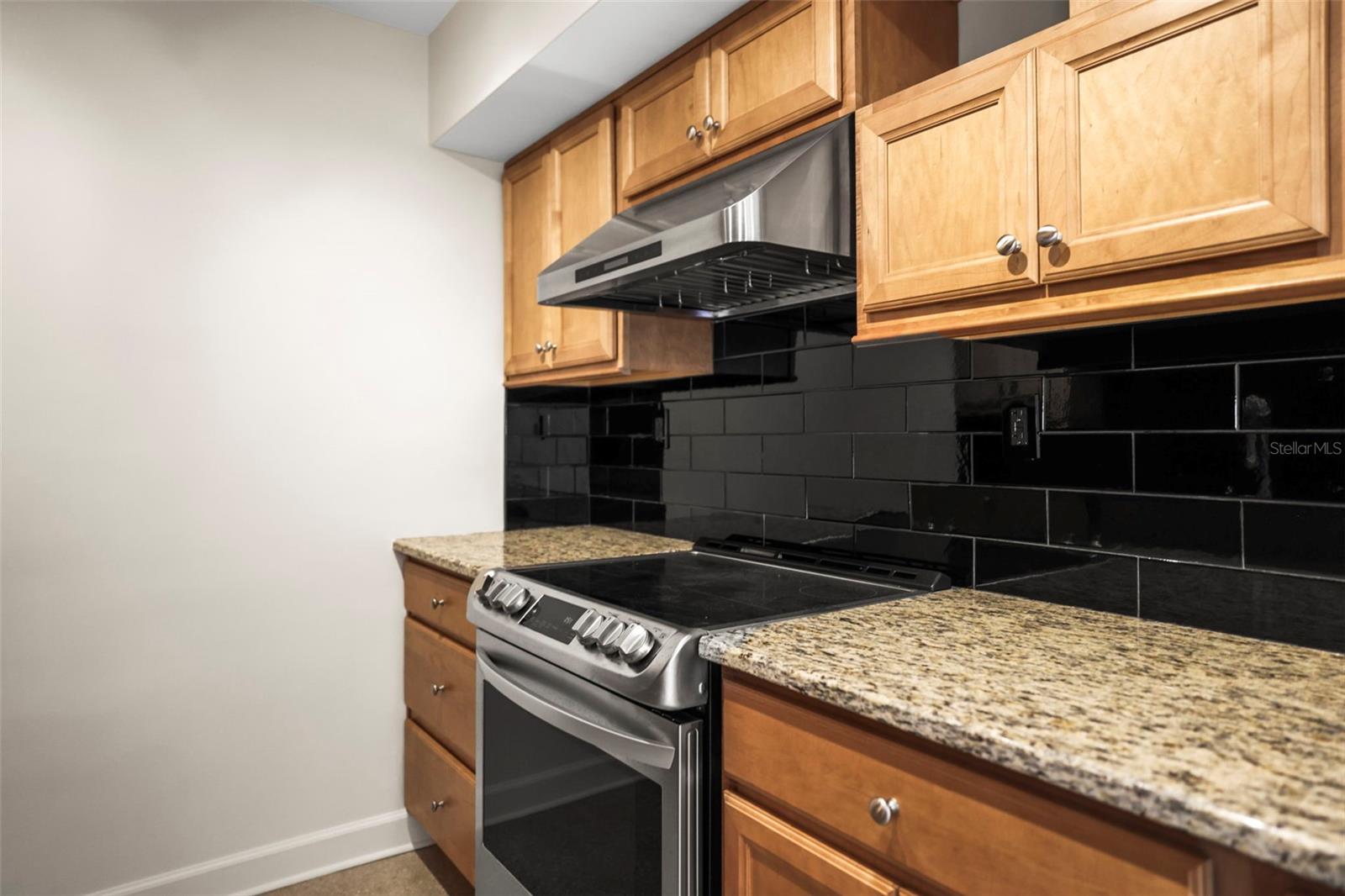 Image 14 of 64 For 10355 Paradise Boulevard 1003