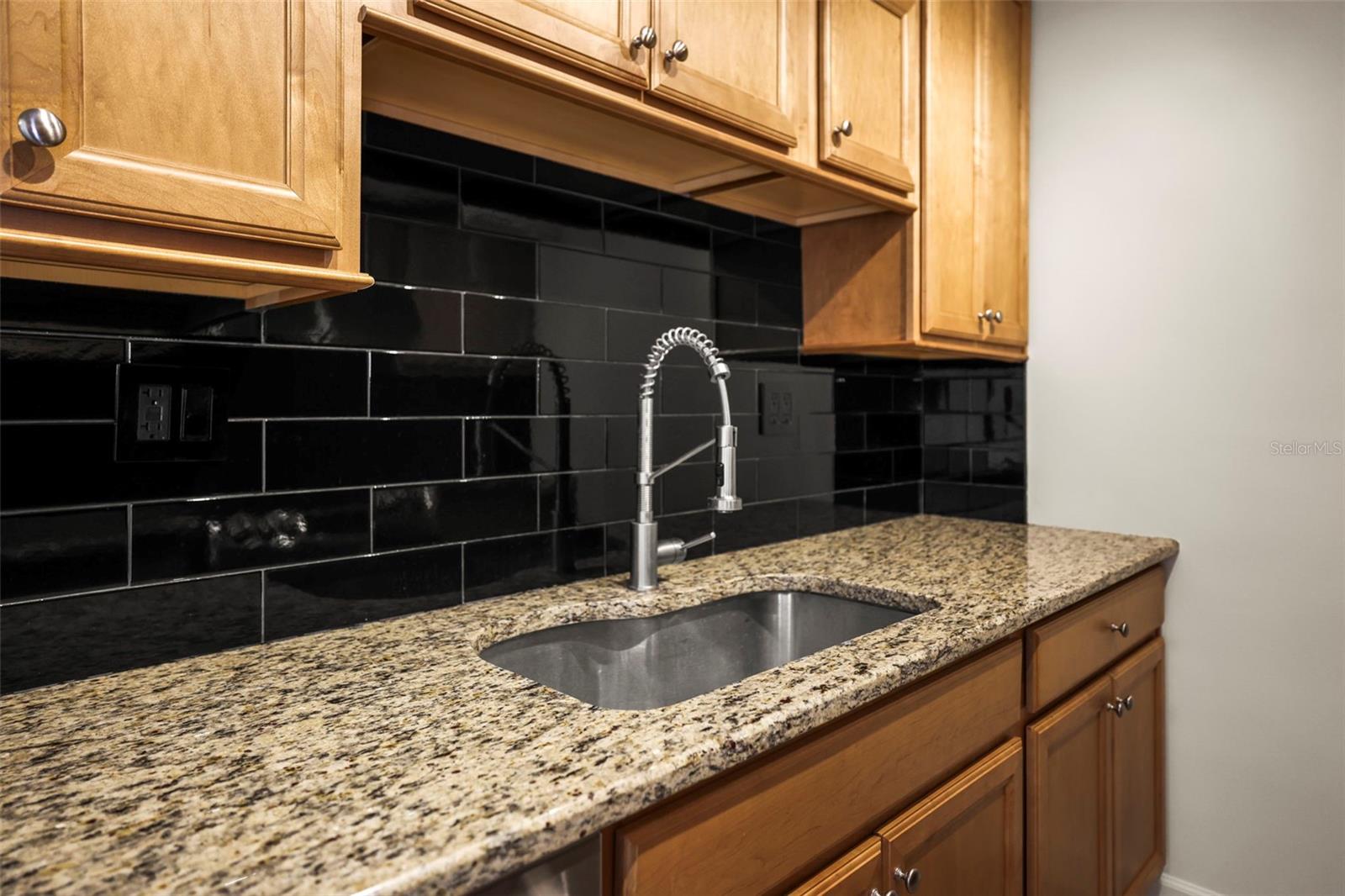 Image 15 of 64 For 10355 Paradise Boulevard 1003