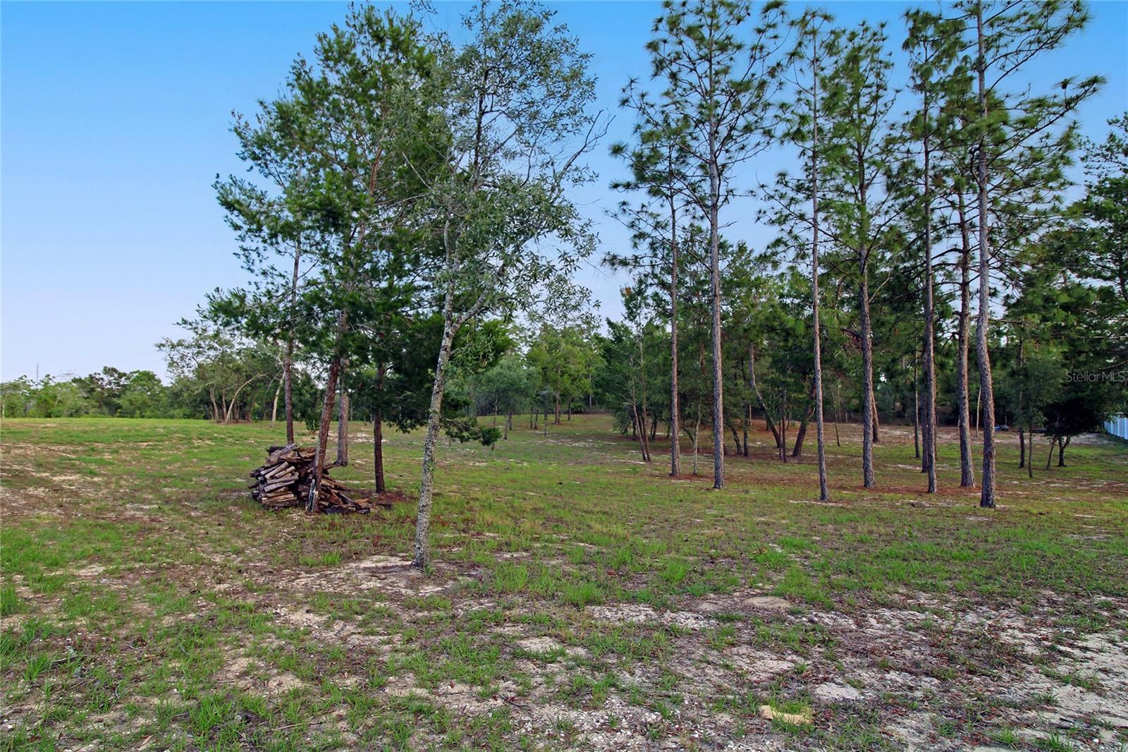 Listing photo id 29 for 13268 Harrison Street