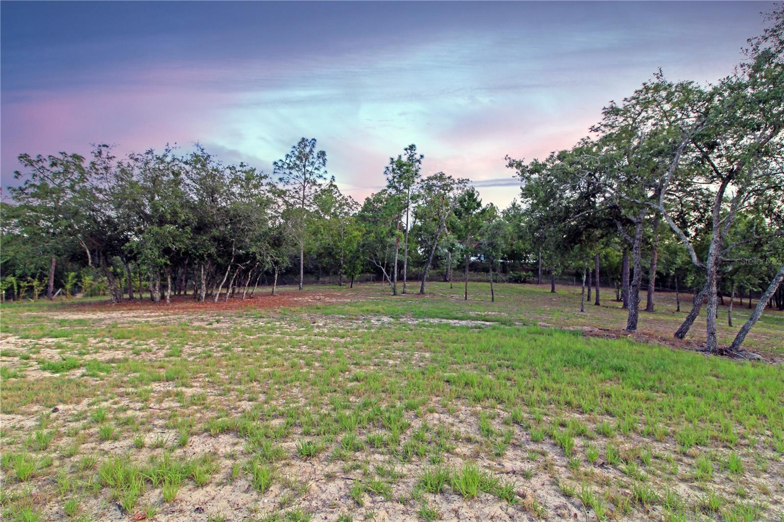 Listing photo id 33 for 13268 Harrison Street