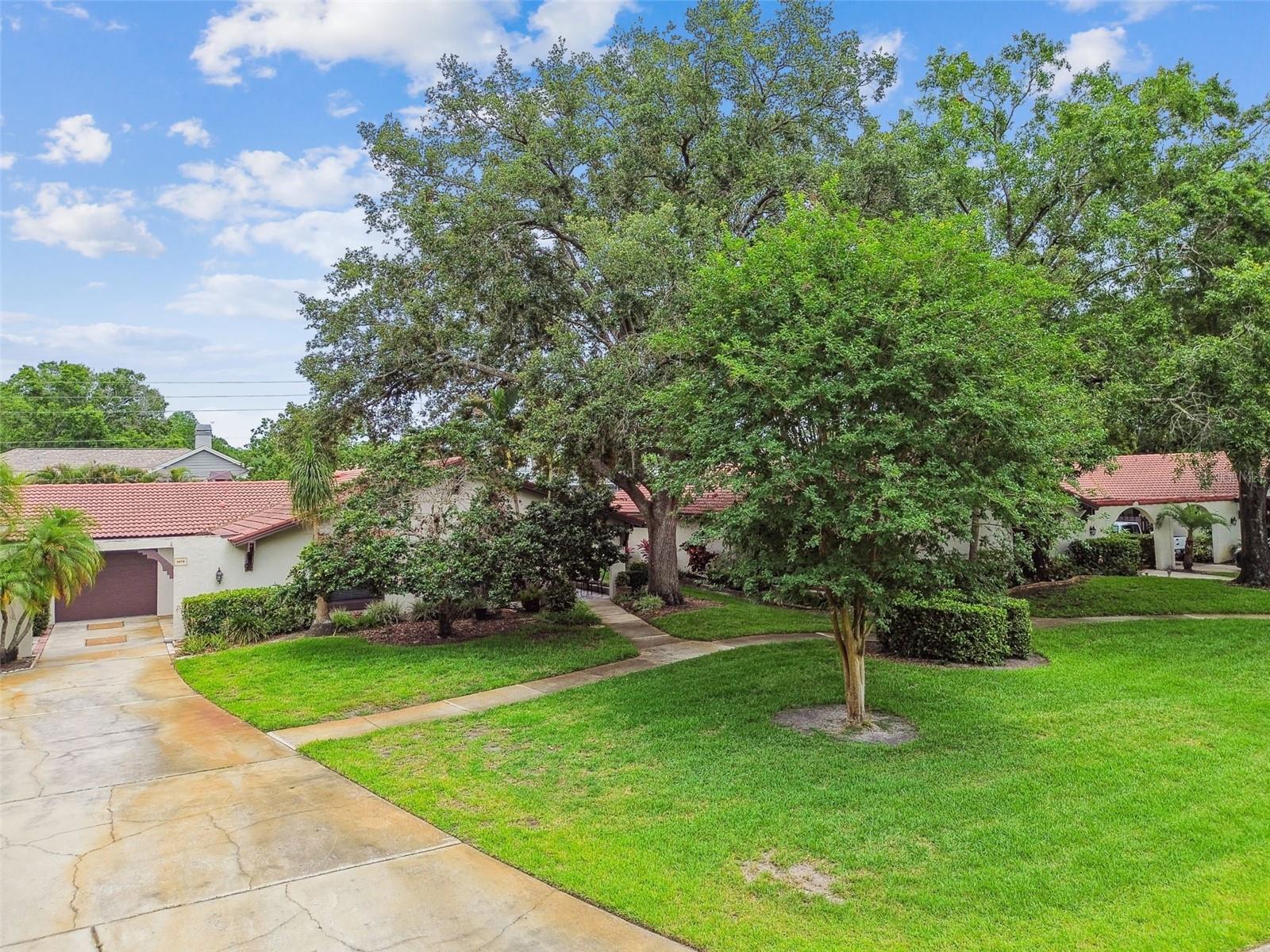 Image 47 of 58 For 3476 Tarpon Woods Boulevard