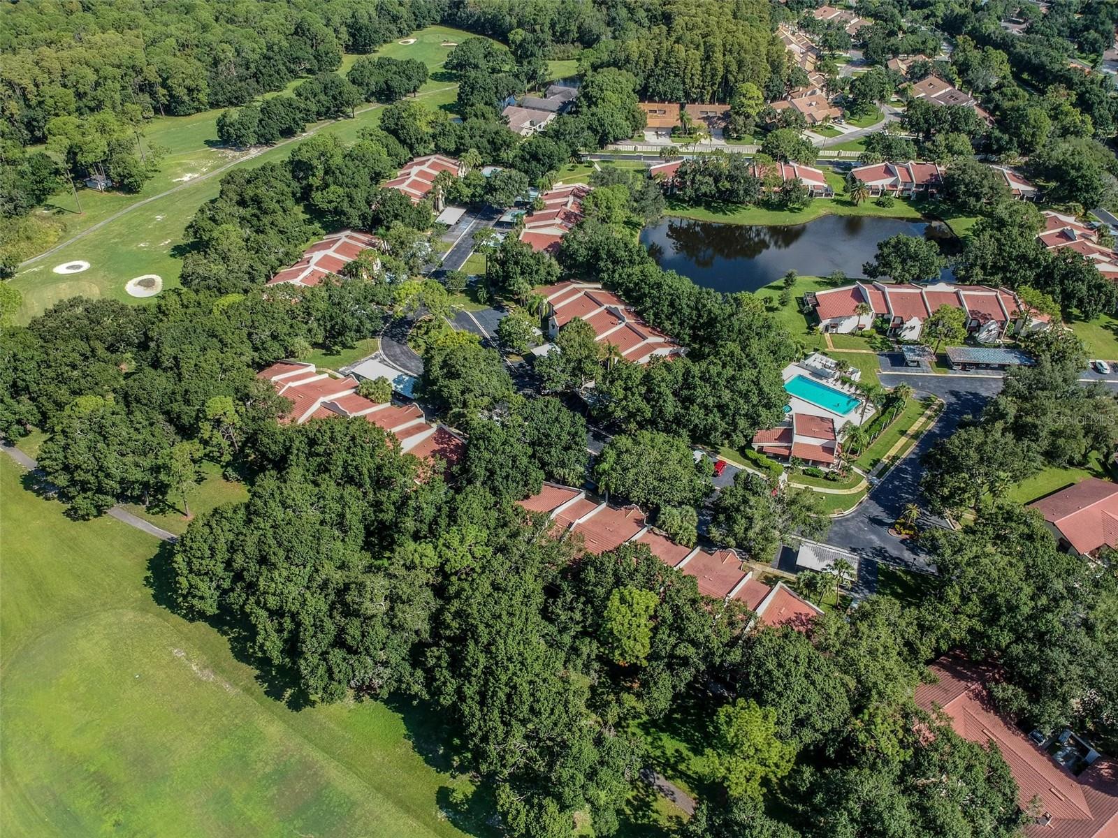 Image 50 of 58 For 3476 Tarpon Woods Boulevard