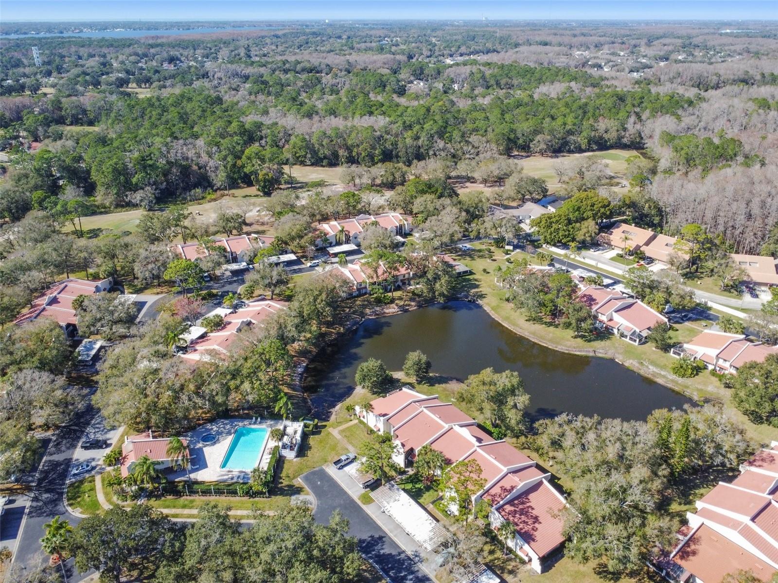 Image 51 of 58 For 3476 Tarpon Woods Boulevard