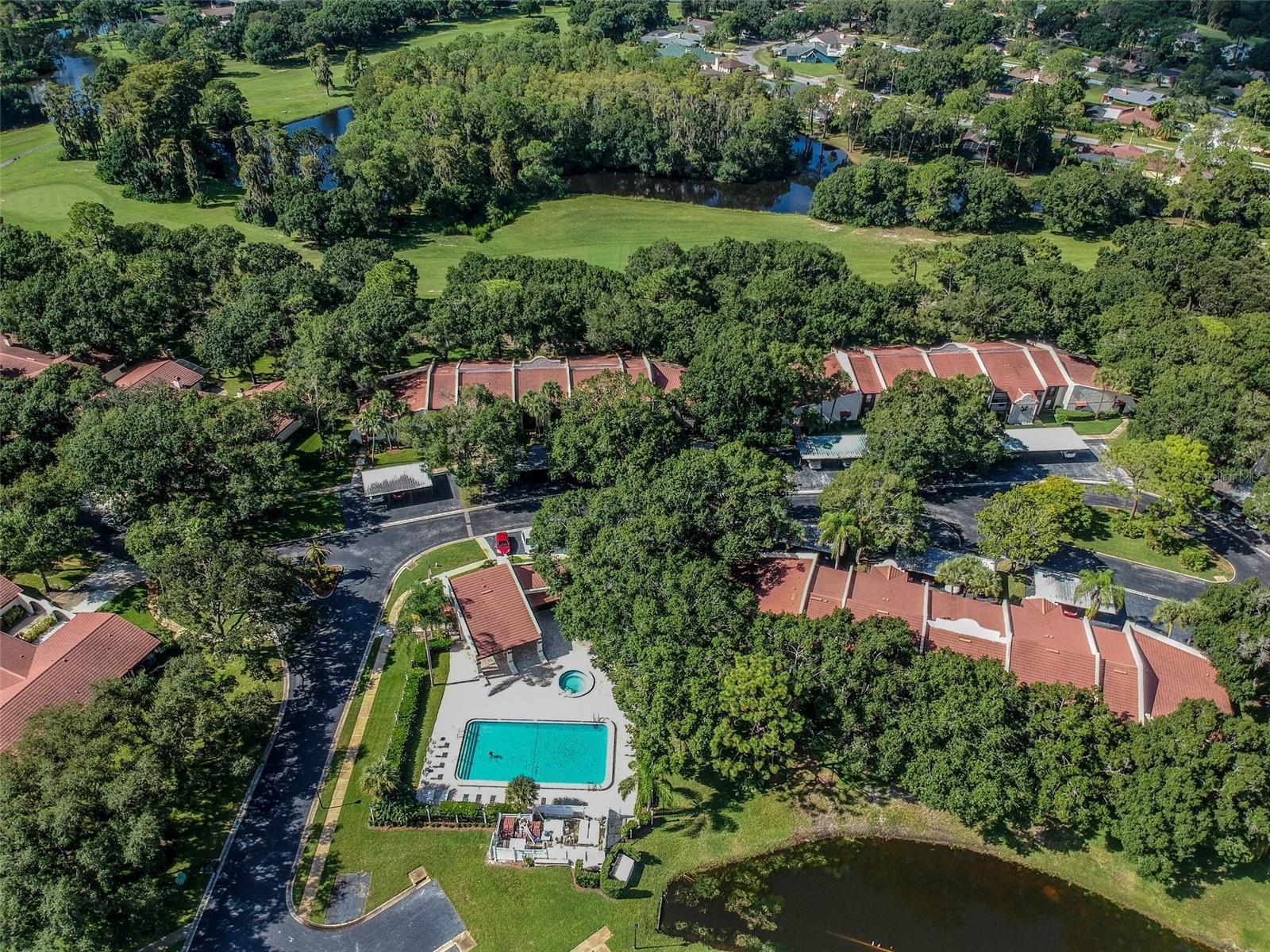 Image 52 of 58 For 3476 Tarpon Woods Boulevard