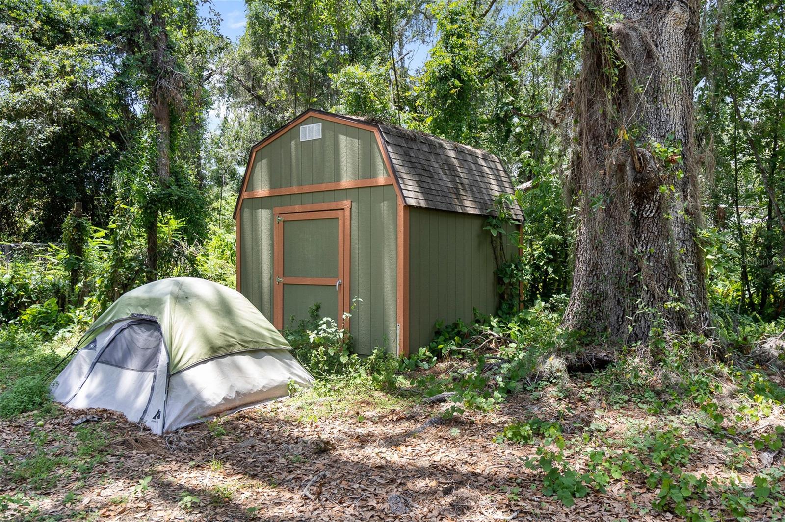Image 10 of 12 For 3703 Lithia Pinecrest Road