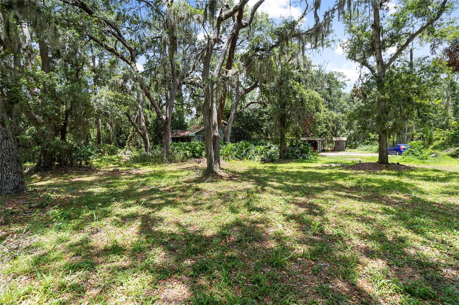 Image 11 of 12 For 3703 Lithia Pinecrest Road