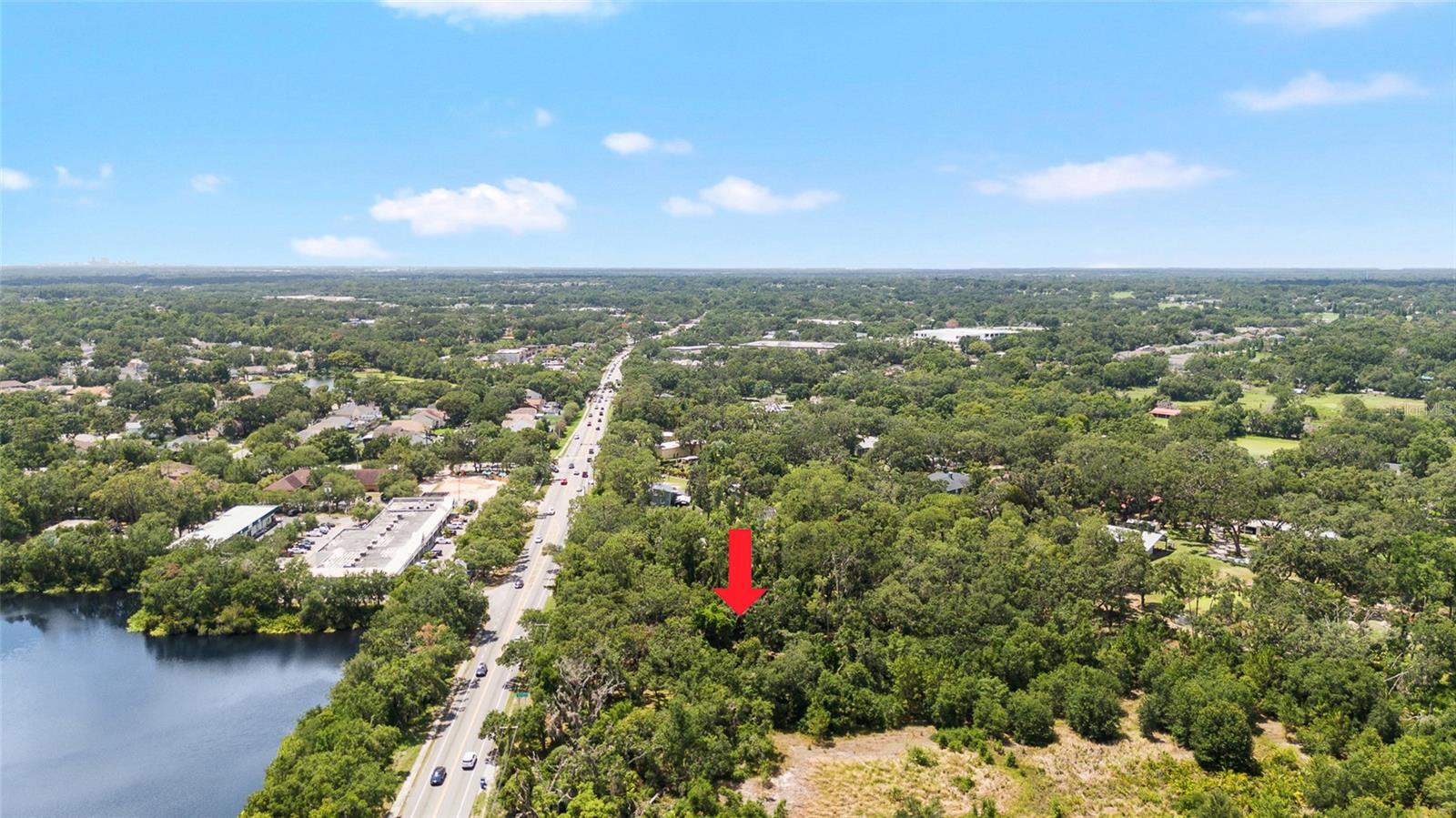 Image 4 of 12 For 3703 Lithia Pinecrest Road