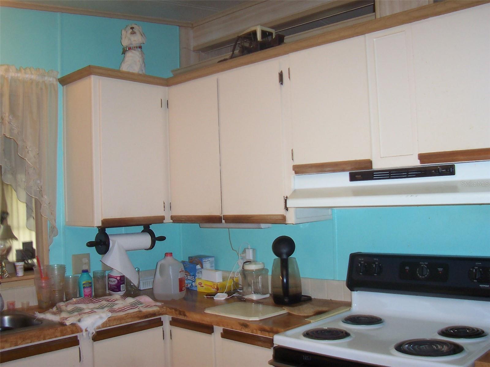 Image 4 of 23 For 33821 Terrace Boulevard