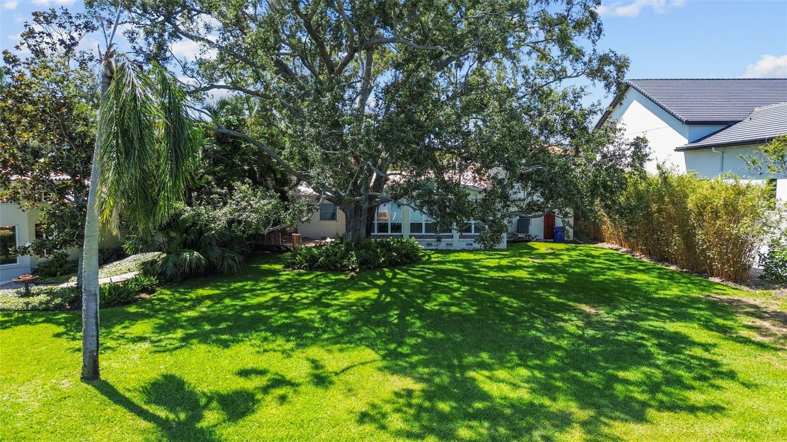 Listing photo id 16 for 1238 Monterey Boulevard Ne