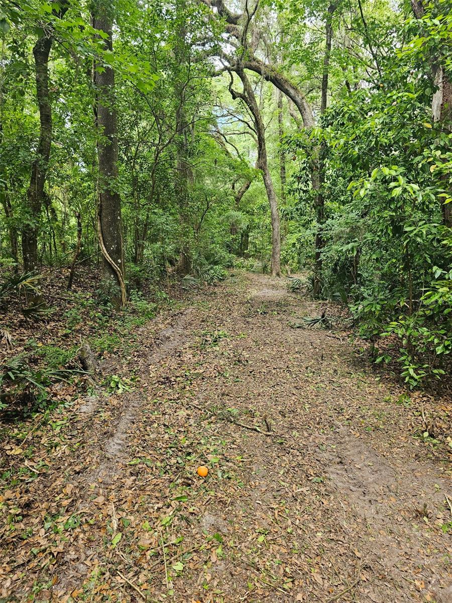 Image 6 of 15 For 359 Savannah Oaks Drive