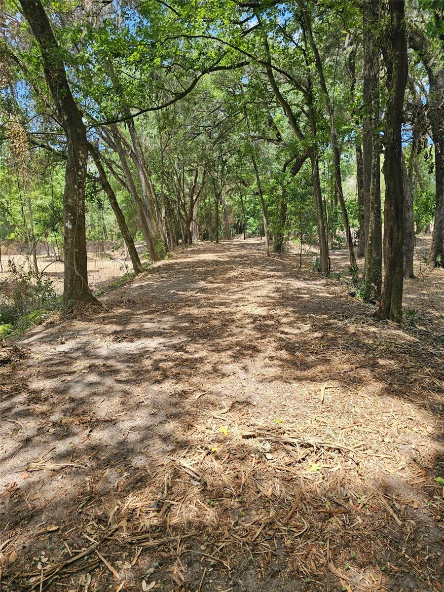 Image 9 of 15 For 359 Savannah Oaks Drive