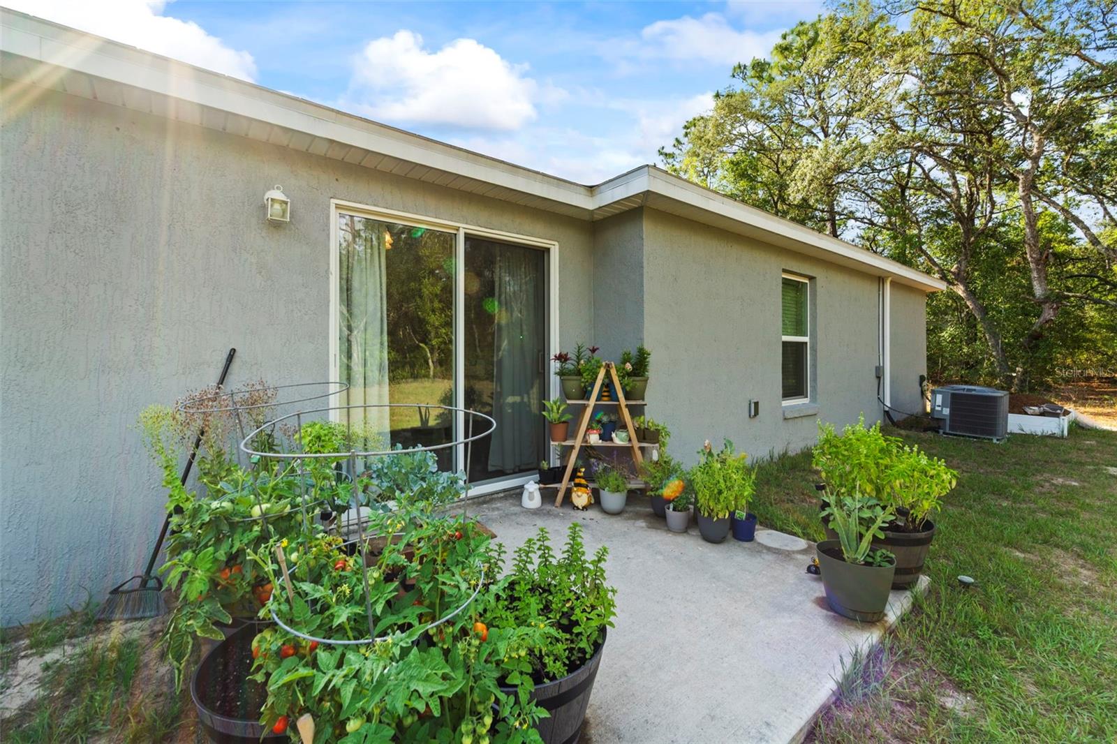 Listing photo id 36 for 8009 Primrose Drive