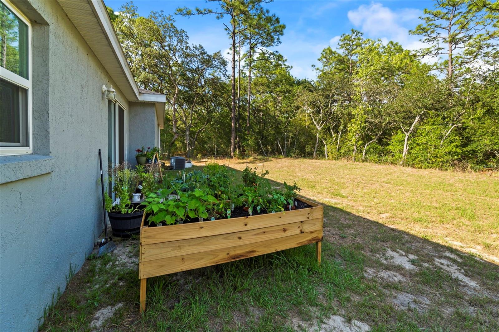 Listing photo id 37 for 8009 Primrose Drive