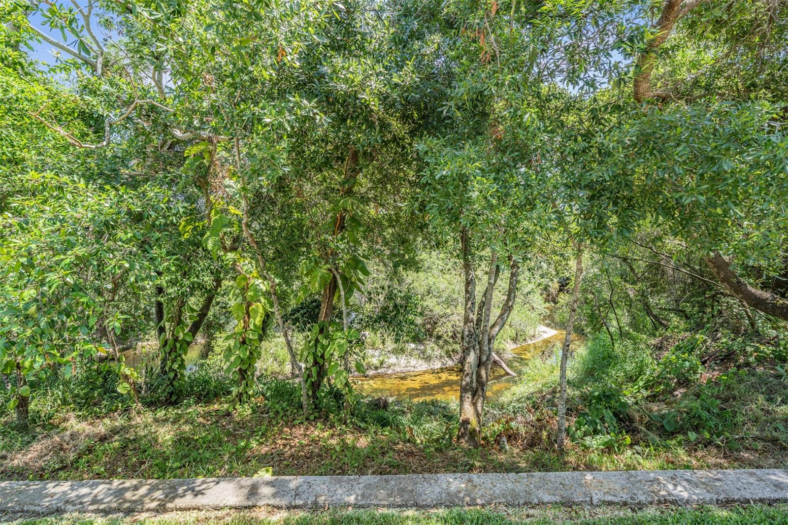 Listing photo id 26 for 8208 Praise Drive