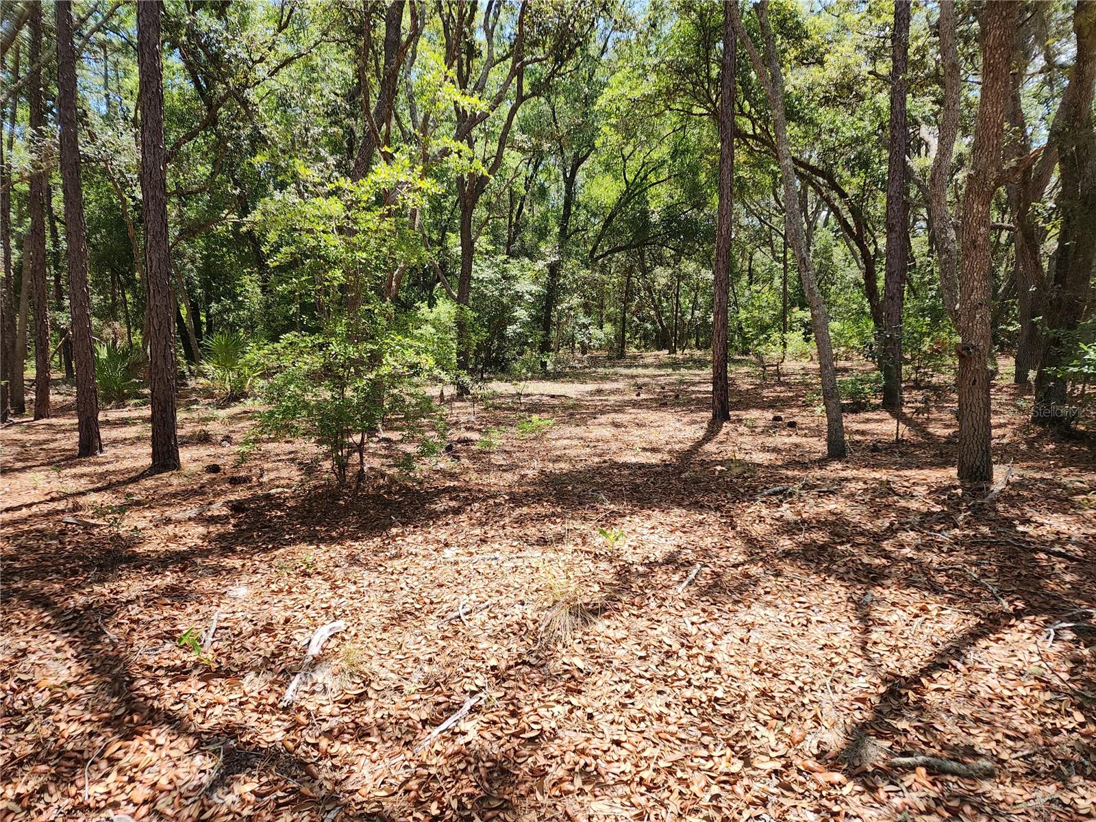 Details for 3775-3787 Osprey Point, INVERNESS, FL 34450