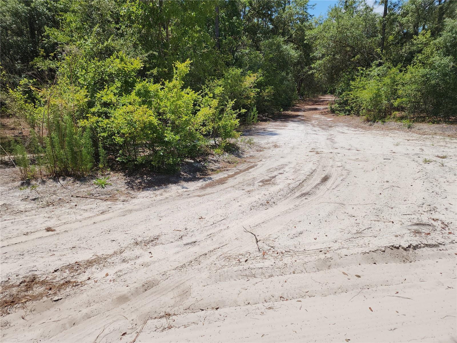 Listing photo id 9 for 3775-3787 Osprey Point