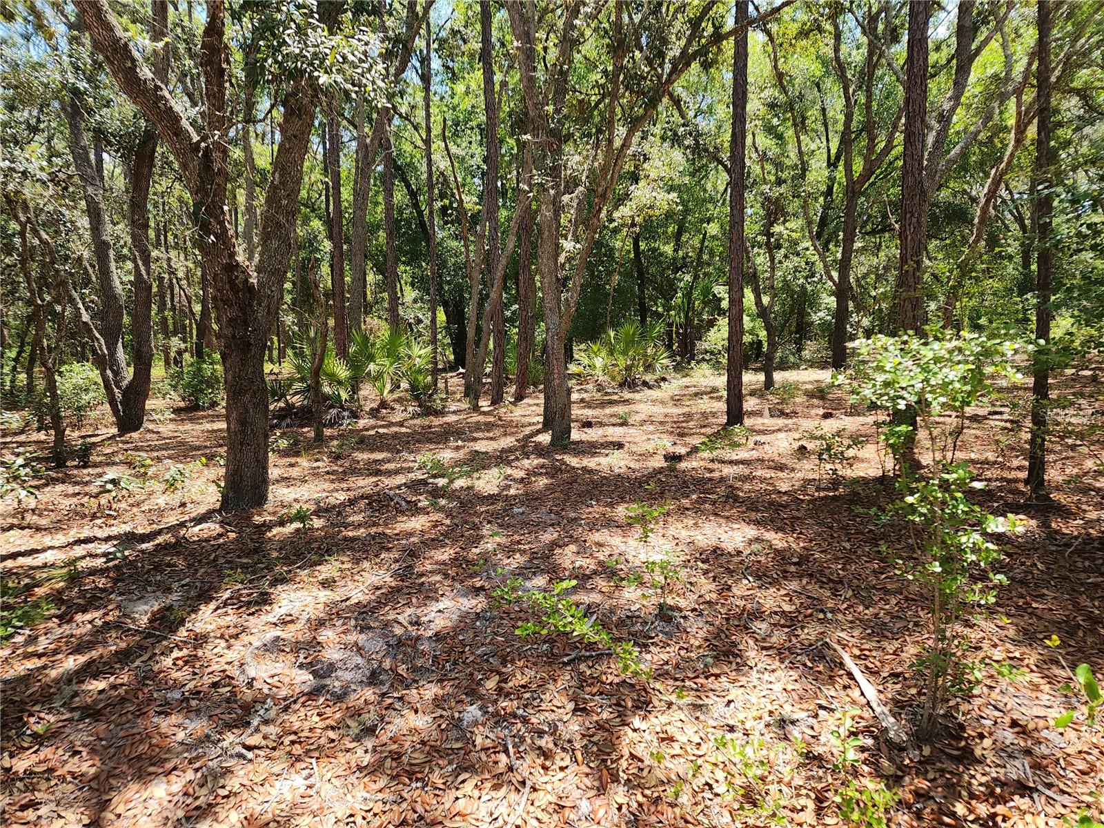 Listing photo id 0 for 3775-3787 Osprey Point