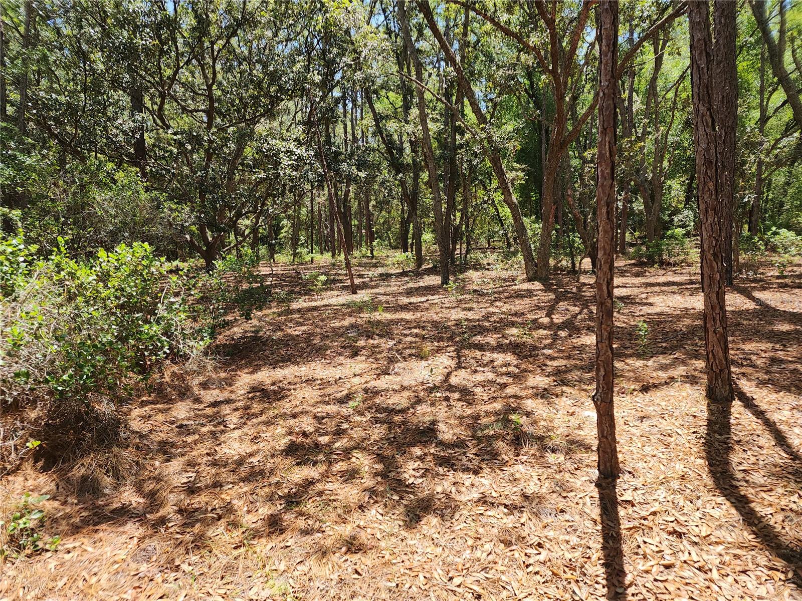 Listing photo id 1 for 3775-3787 Osprey Point