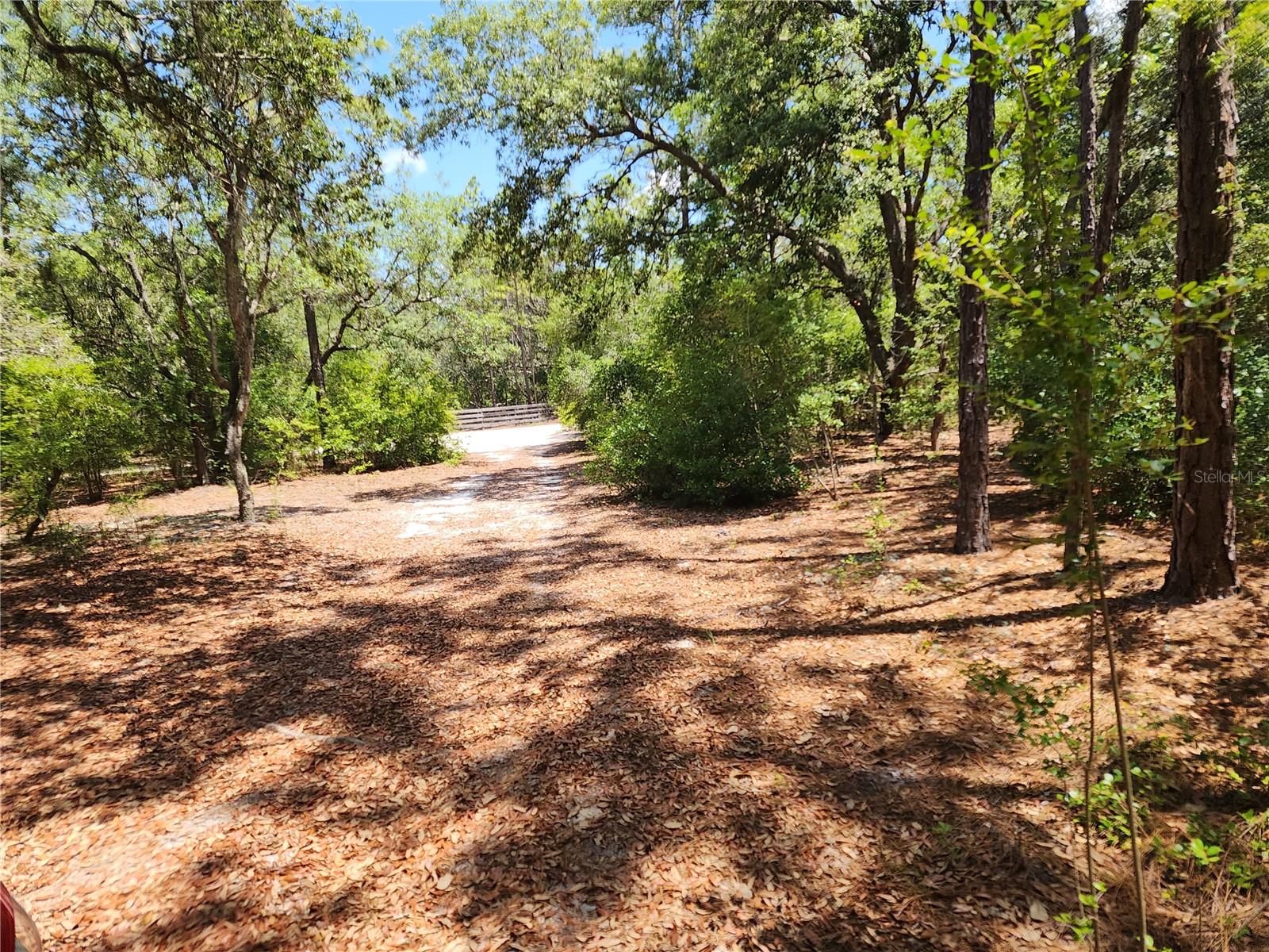 Listing photo id 2 for 3775-3787 Osprey Point