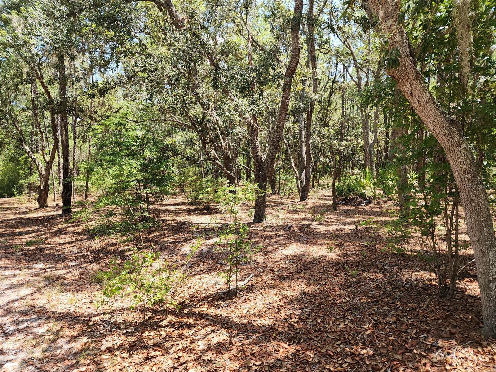 Listing photo id 3 for 3775-3787 Osprey Point