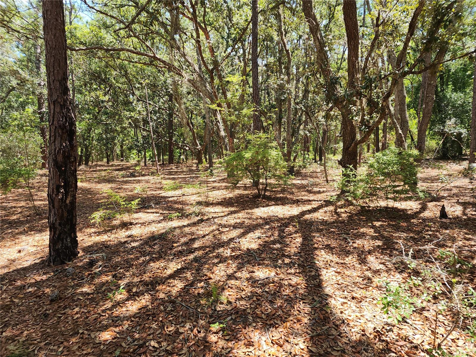 Listing photo id 4 for 3775-3787 Osprey Point