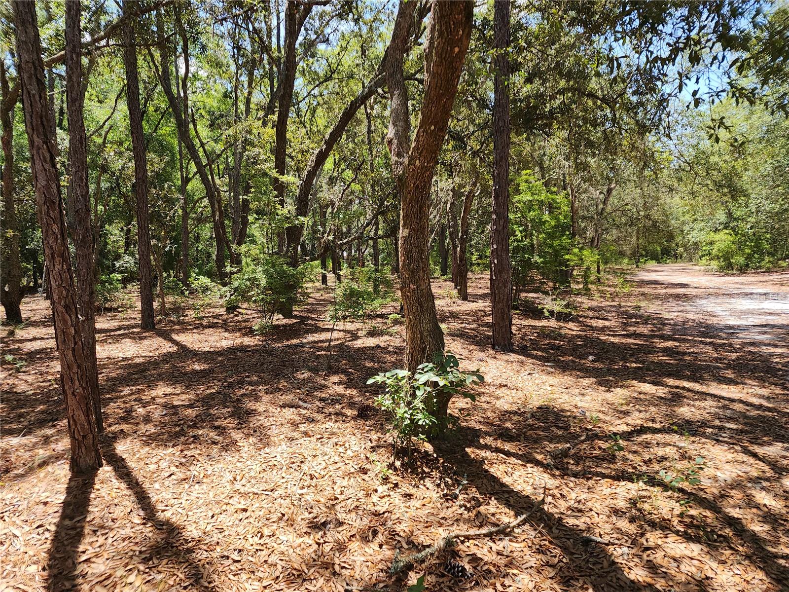 Listing photo id 6 for 3775-3787 Osprey Point
