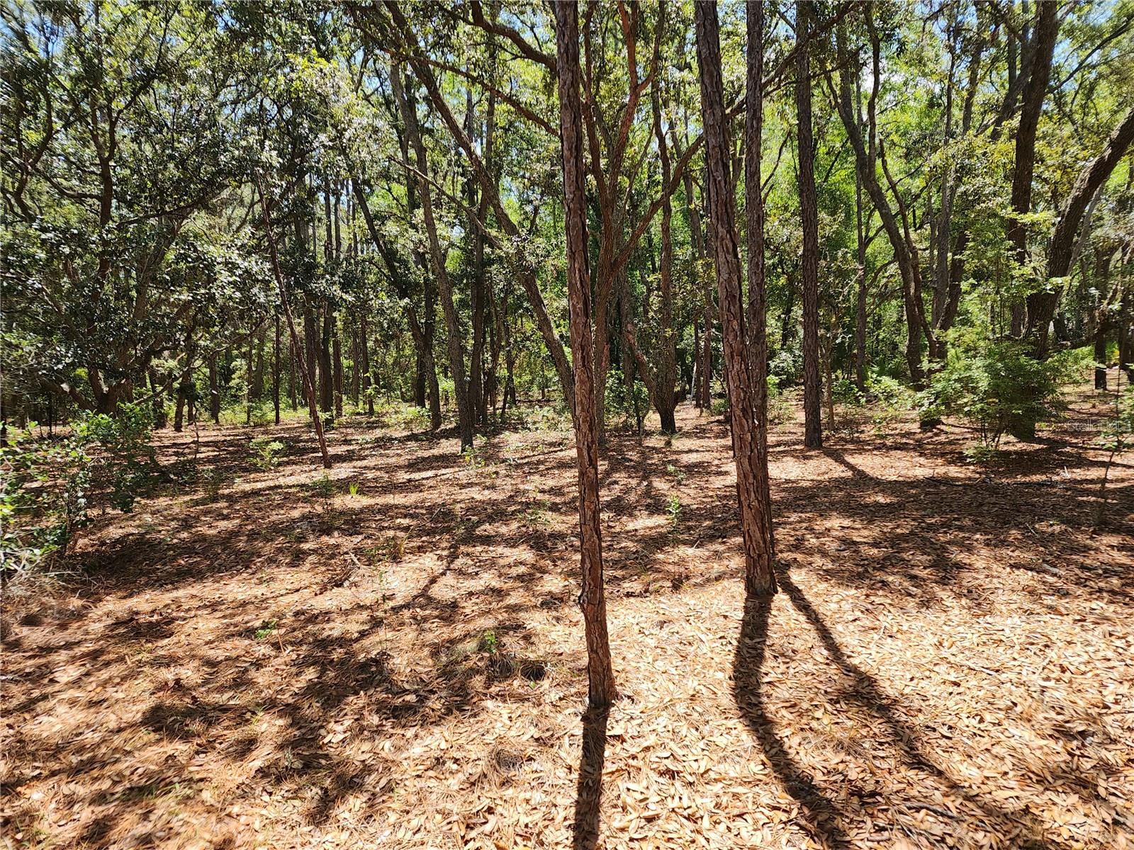 Listing photo id 7 for 3775-3787 Osprey Point