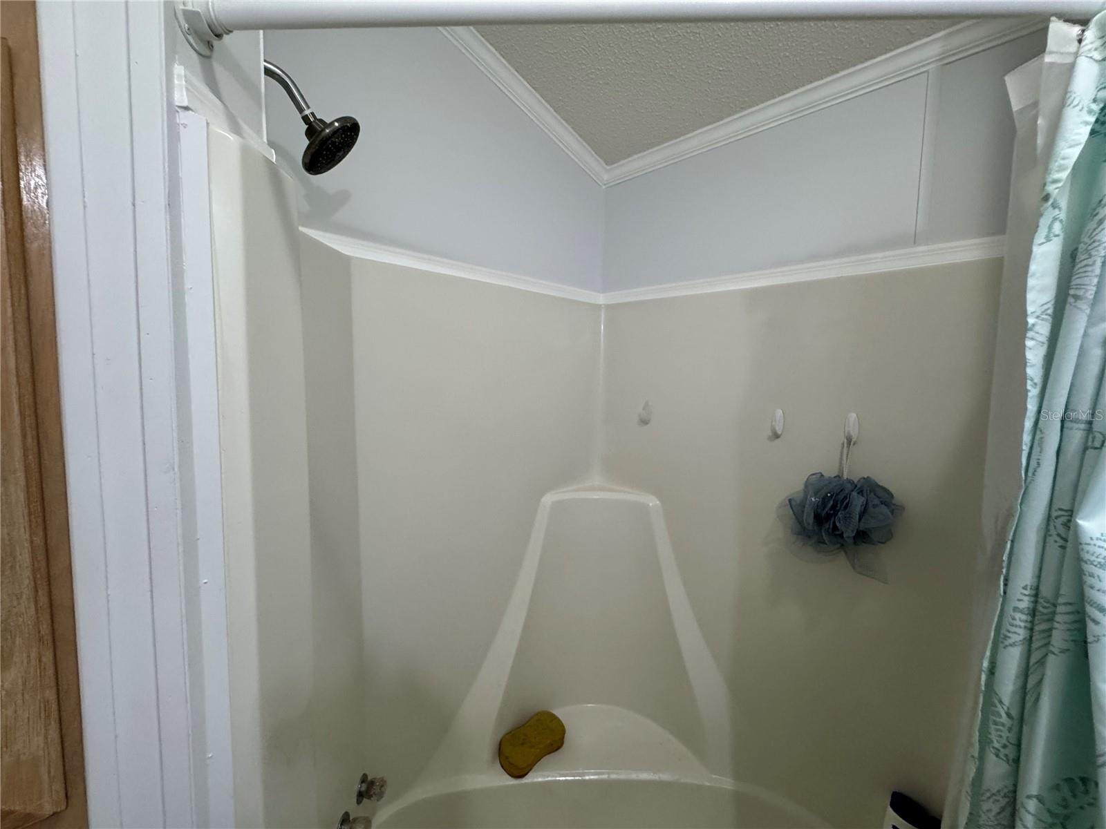 Image 21 of 59 For 35248 Tiffani Court Lot 064