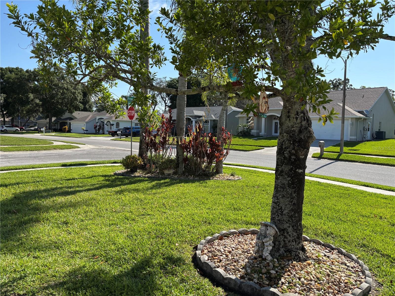 Listing photo id 43 for 13339 Amberwood Street