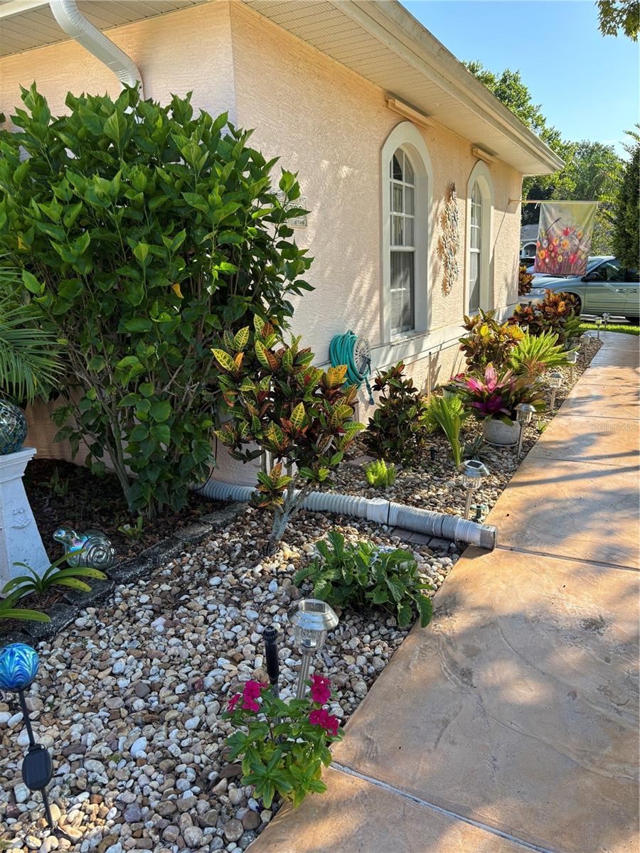 Listing photo id 5 for 13339 Amberwood Street