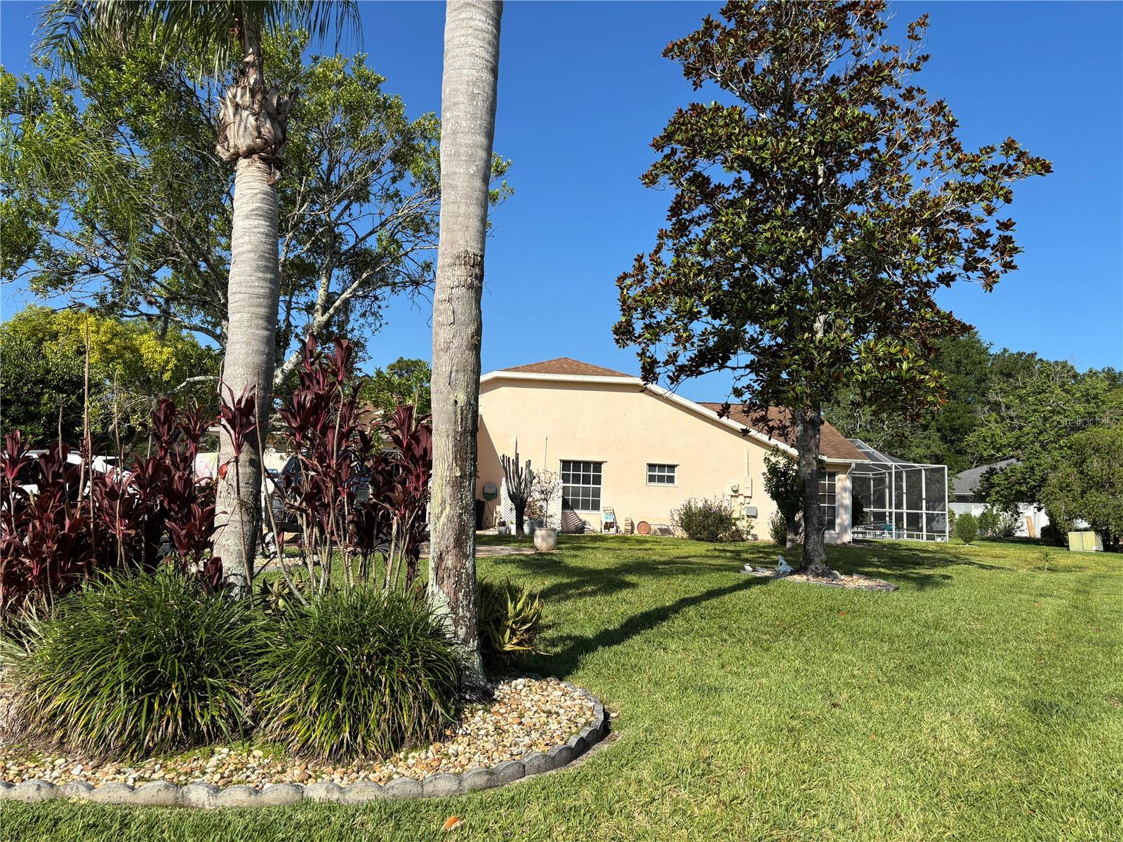 Listing photo id 6 for 13339 Amberwood Street
