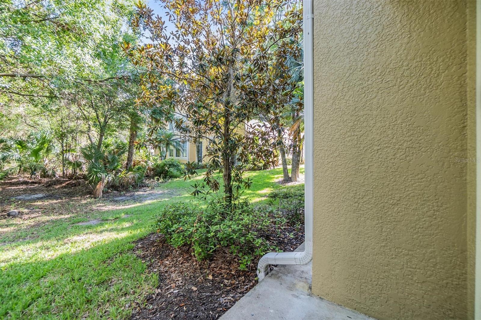 Listing photo id 26 for 6736 Breezy Palm Drive