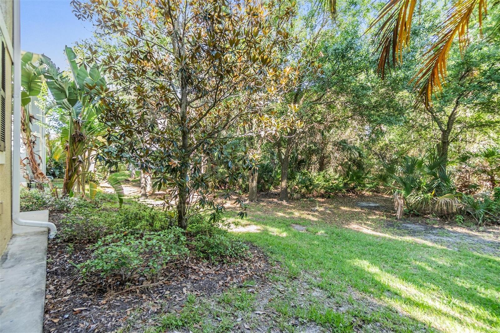 Listing photo id 27 for 6736 Breezy Palm Drive
