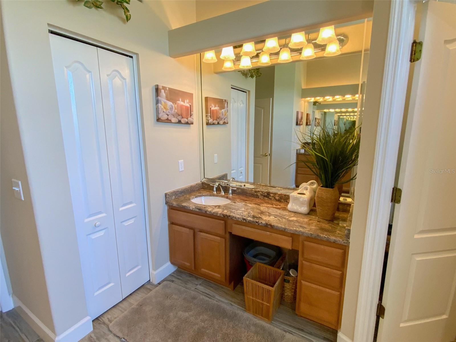 Listing photo id 47 for 2041 Gold Dust Court