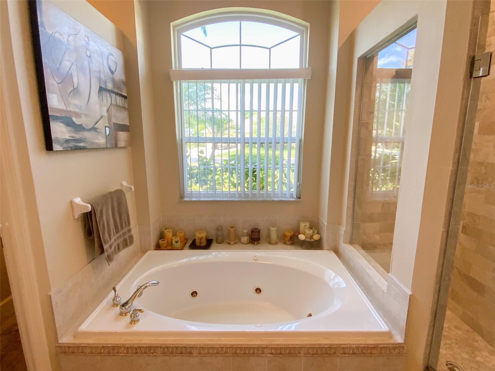 Listing photo id 49 for 2041 Gold Dust Court