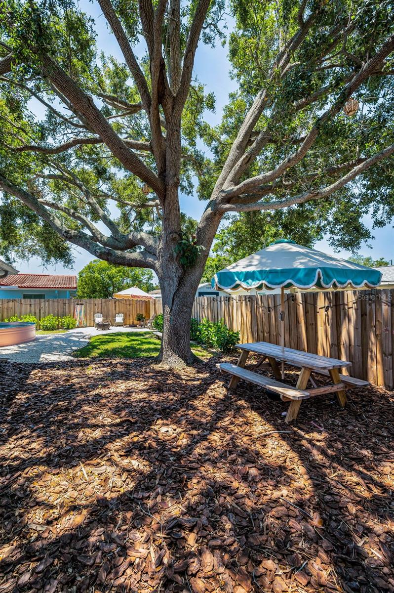 Image 48 of 67 For 9952 111th Street