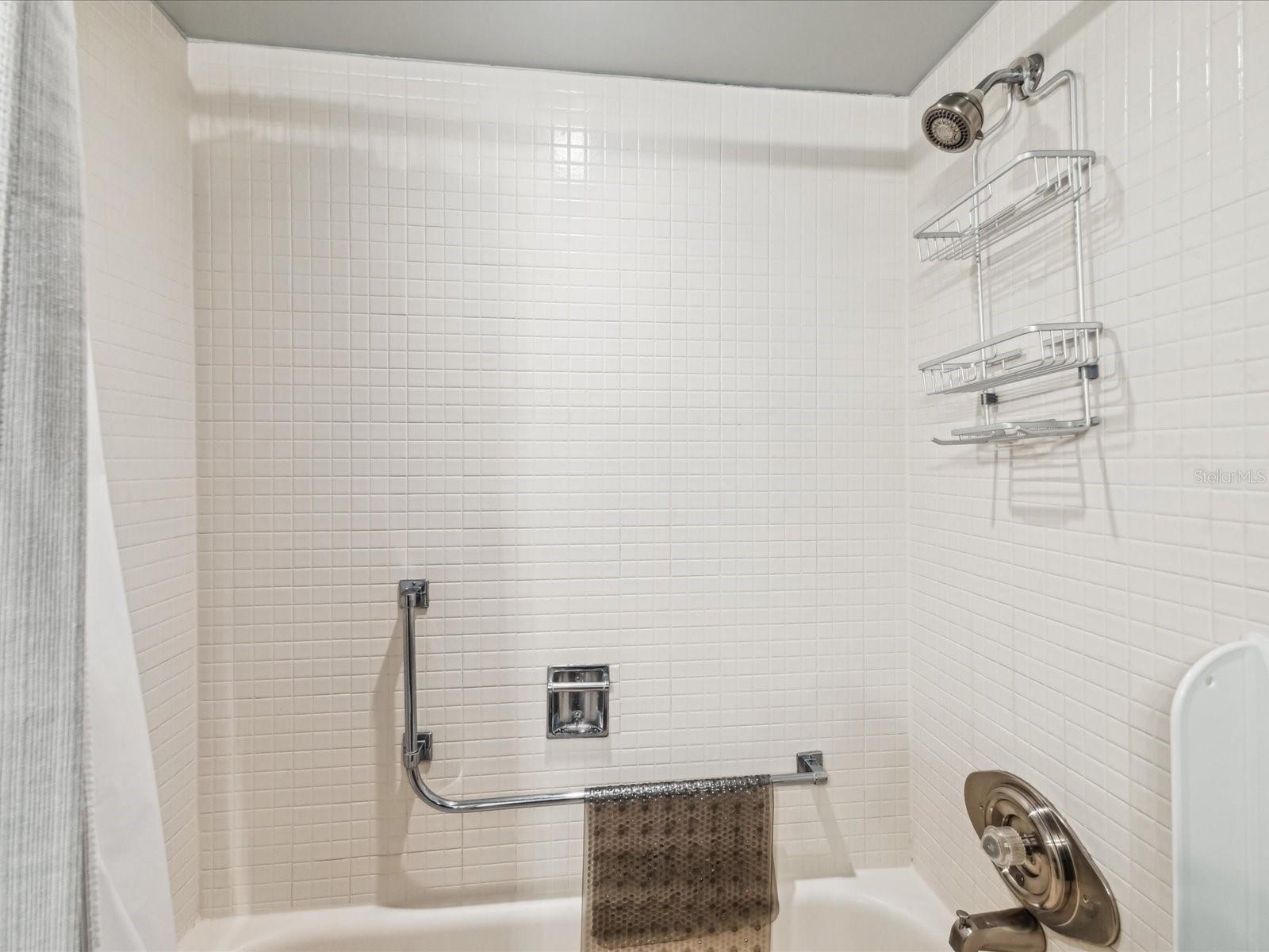 Image 20 of 42 For 10216 Regal Drive 409