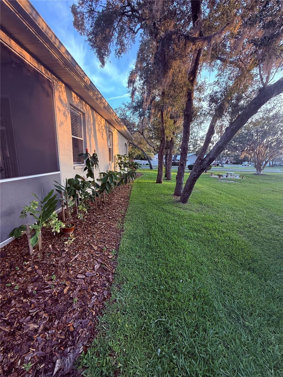 Image 59 of 66 For 13133 Roseanna Drive