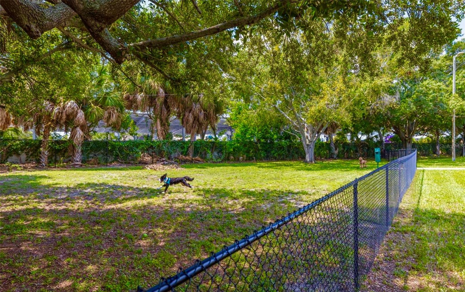 Image 30 of 43 For 4314 La Mora Court