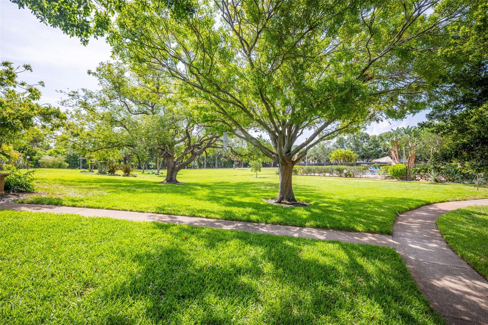 Image 34 of 43 For 4314 La Mora Court