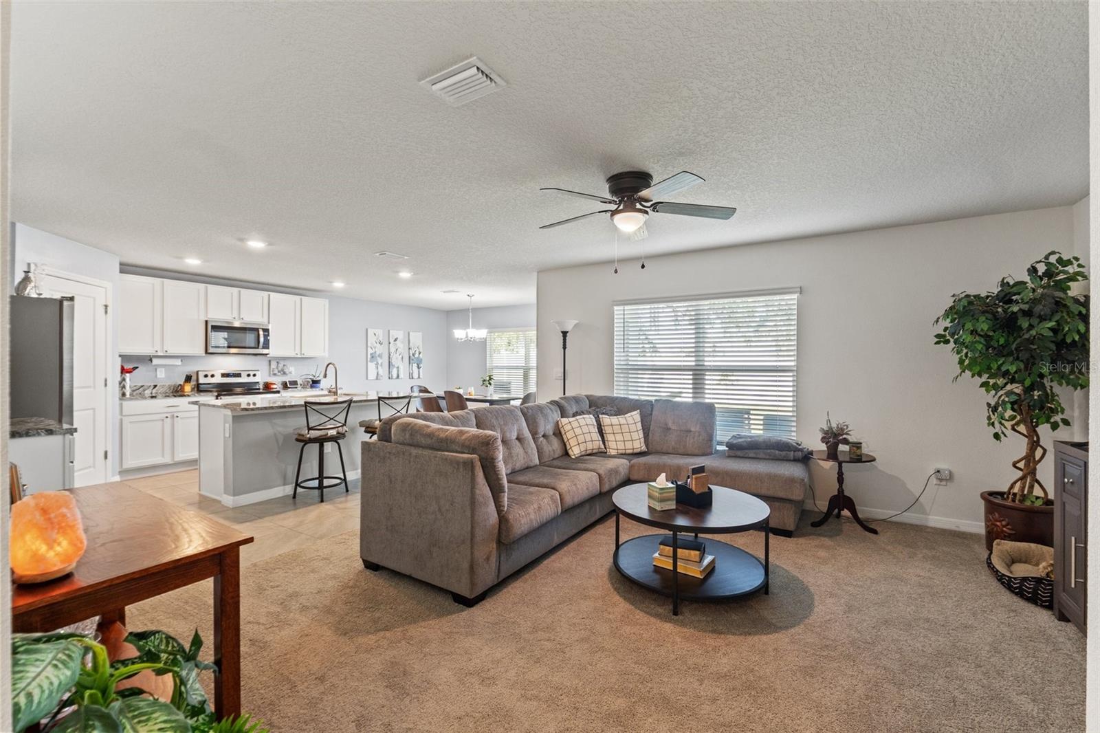 Listing photo id 0 for 13765 Whiskey Daisy Drive