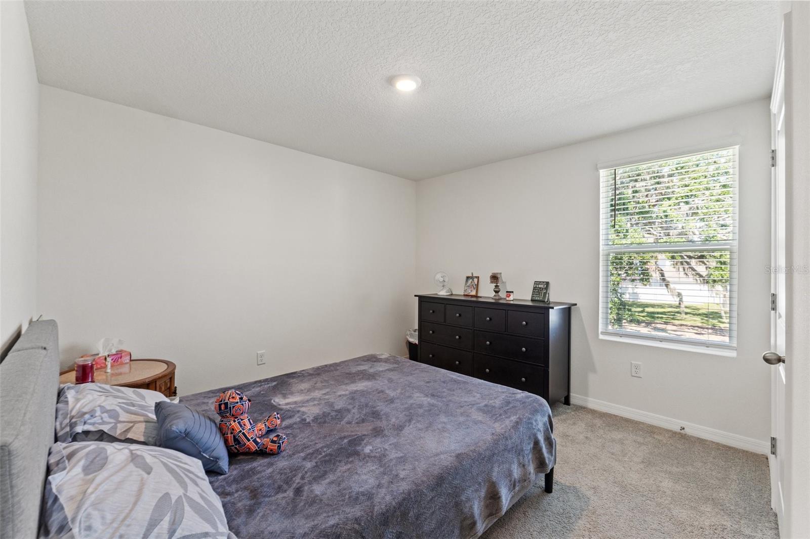 Listing photo id 21 for 13765 Whiskey Daisy Drive