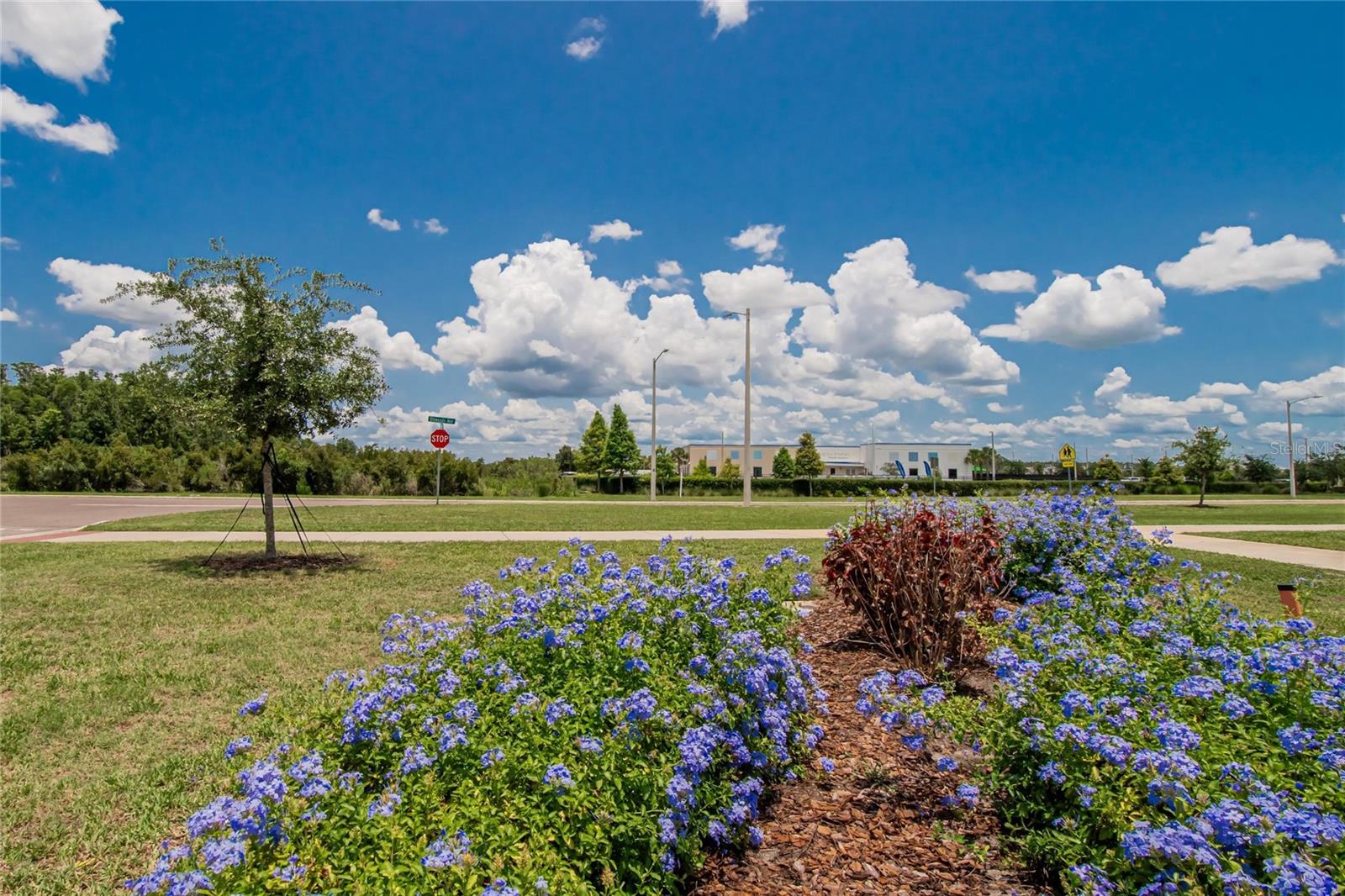 Listing photo id 56 for 1398 Crescent Hoop Way