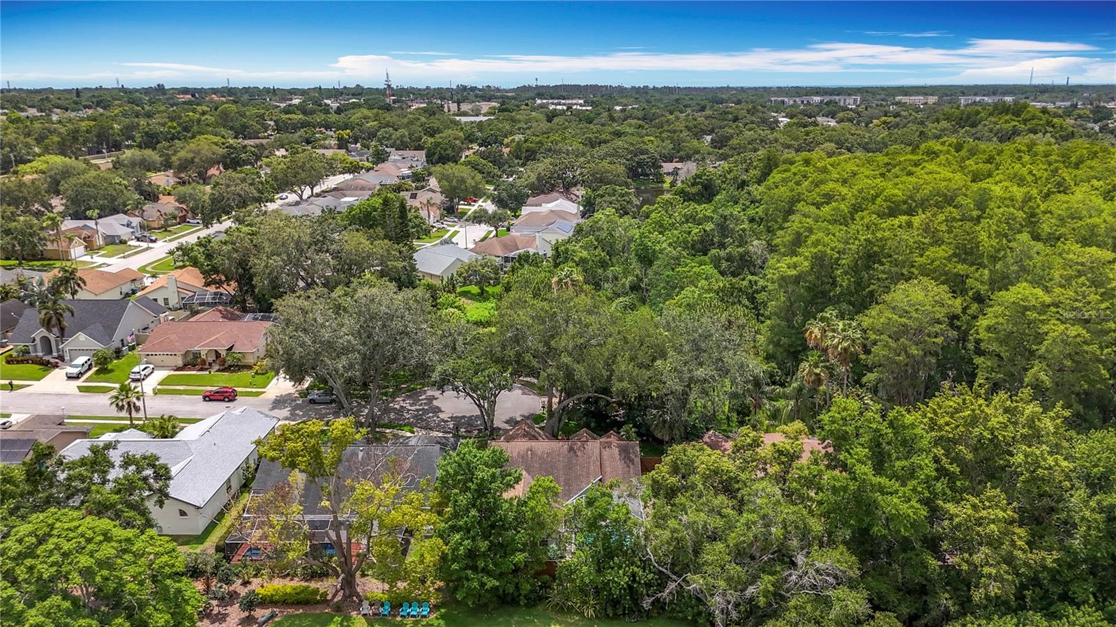 Image 65 of 82 For 2973 Spring Oak Court