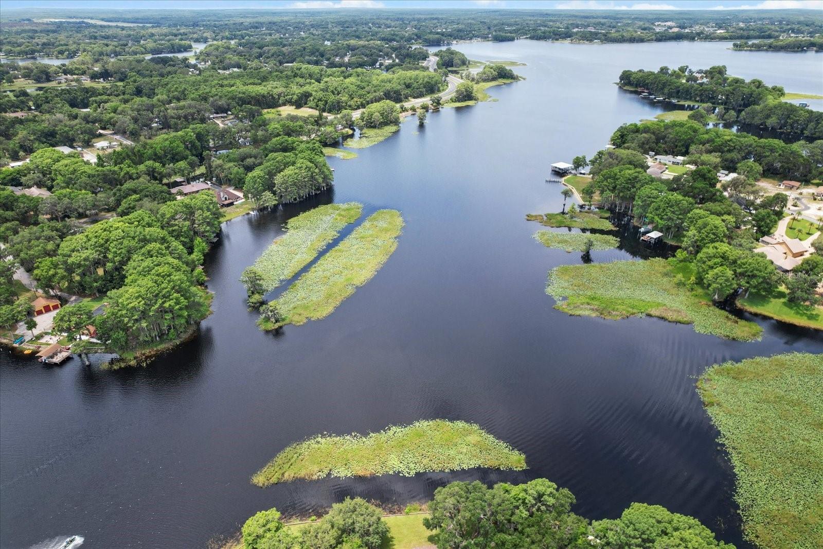 Listing photo id 0 for 1226 Telephone Point Road