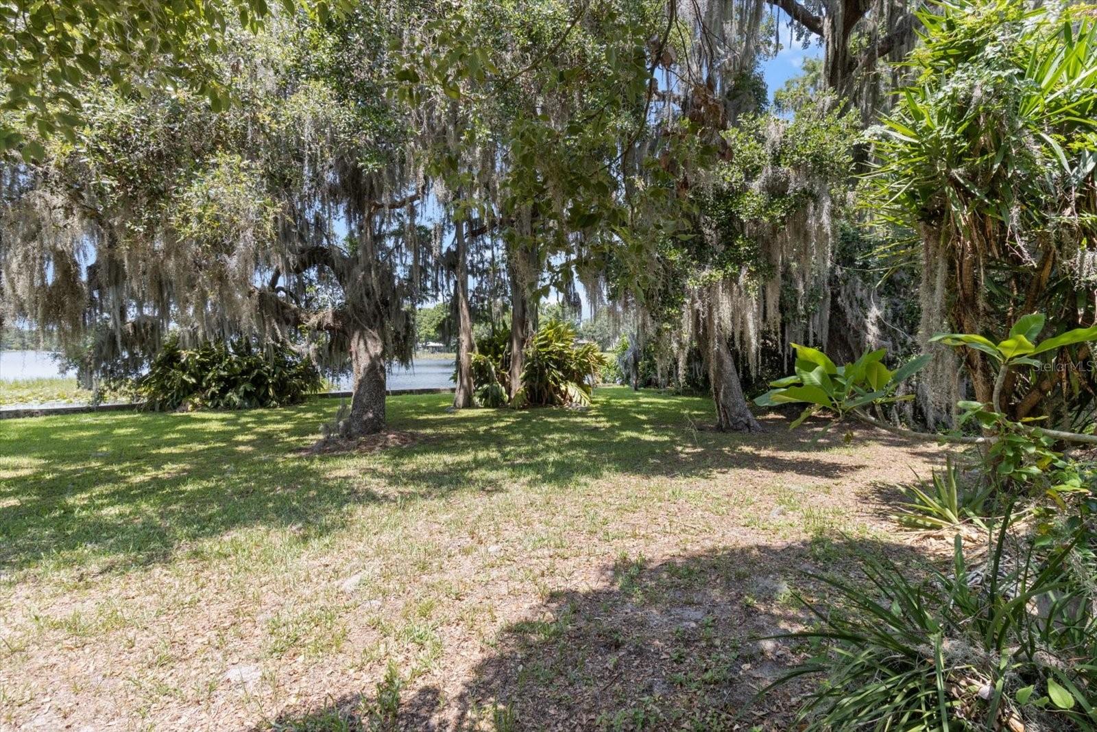 Listing photo id 34 for 1226 Telephone Point Road