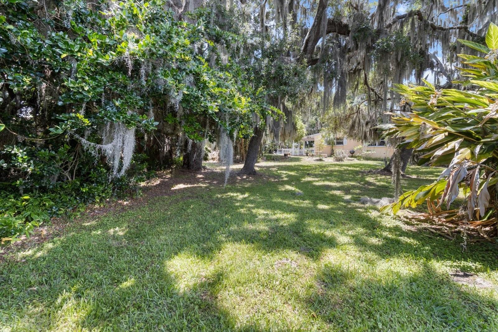 Listing photo id 35 for 1226 Telephone Point Road