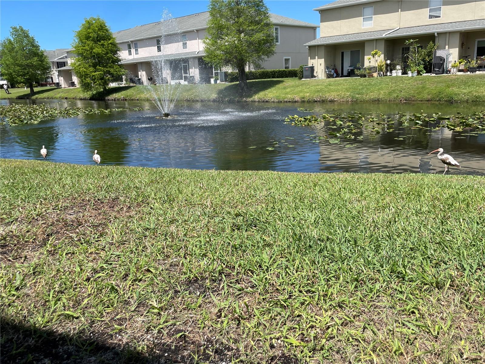 Image 23 of 56 For 16350 Swan View Circle