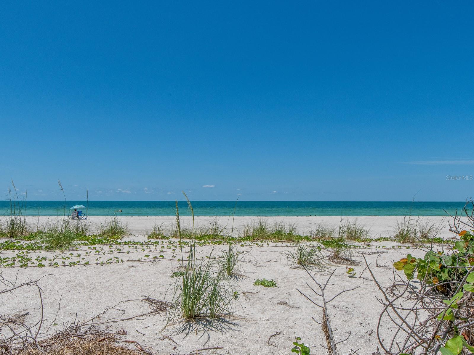 Image 54 of 67 For 1520 Gulf Boulevard 1505